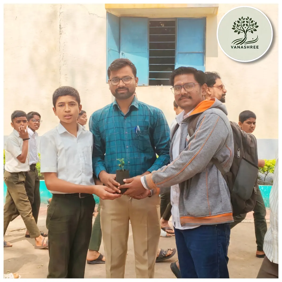 Afforestation results - thriving trees planted by Vanashree